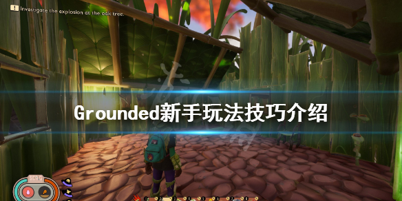 游侠网